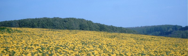 SIMG0006